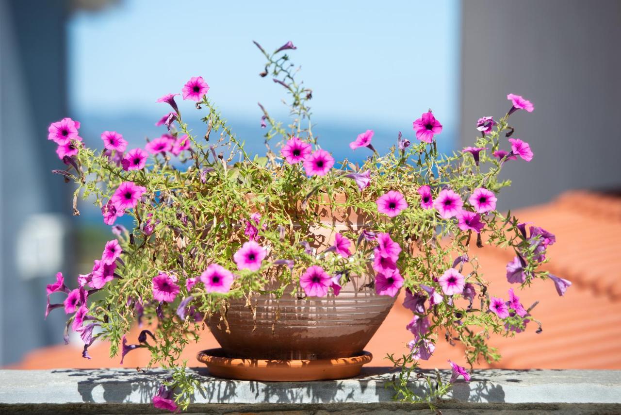 דירות אגיוס ניקולאוס Xalonia Seaview מראה חיצוני תמונה